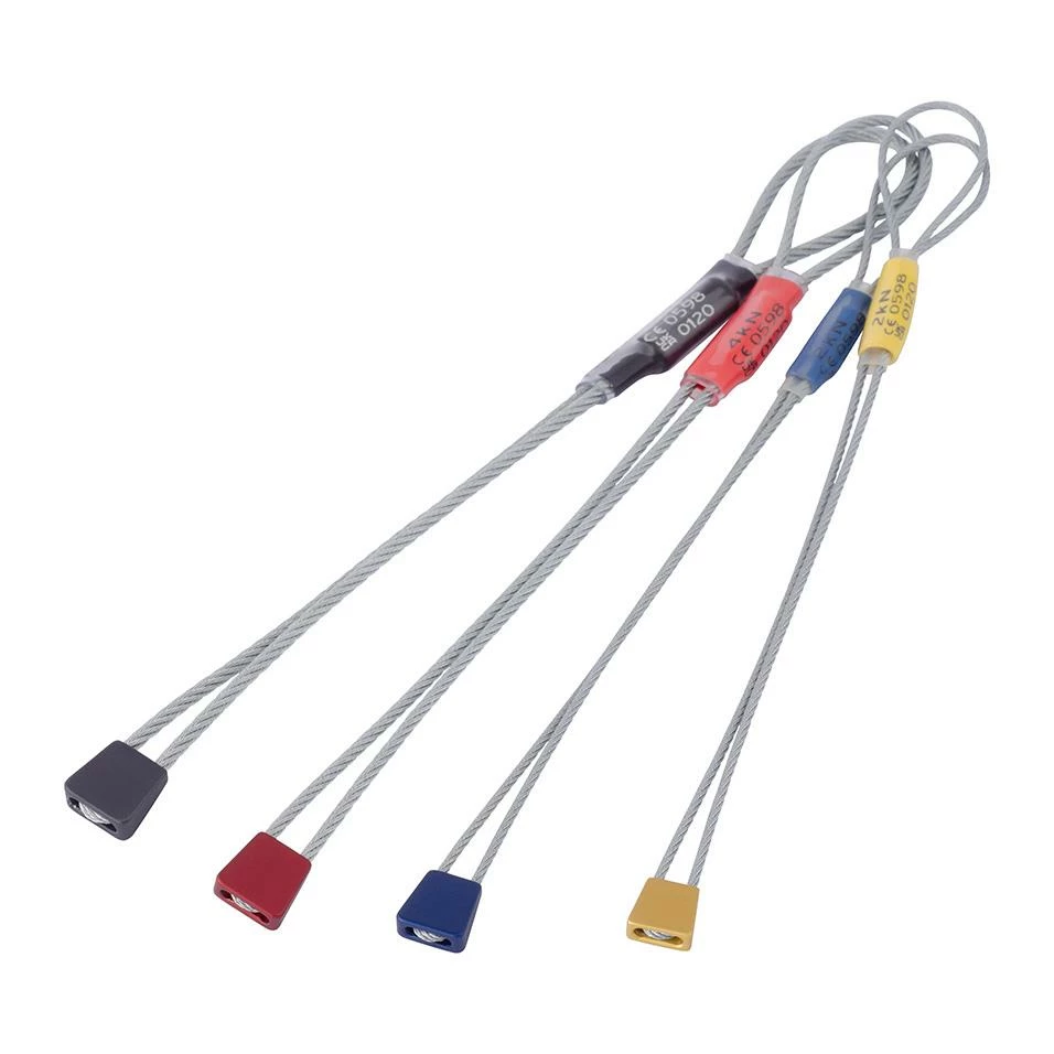 Flash Sale โจ DMM Micro Wallnuts ๐ 1 Flash Sale โจ DMM Micro Wallnuts ๐