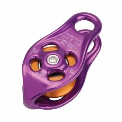 Hot Sale ✨ DMM Pinto Rig 😍